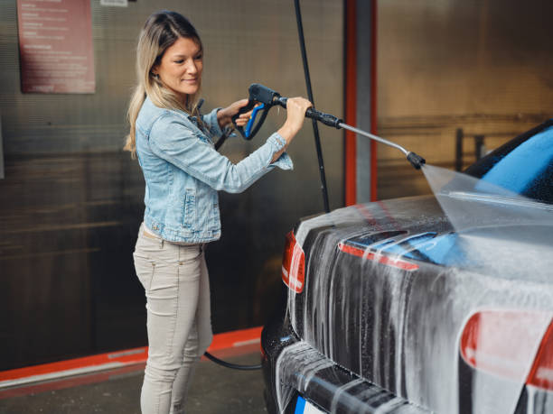 Best Pressure Washing Driveway  in Druid Hills, GA